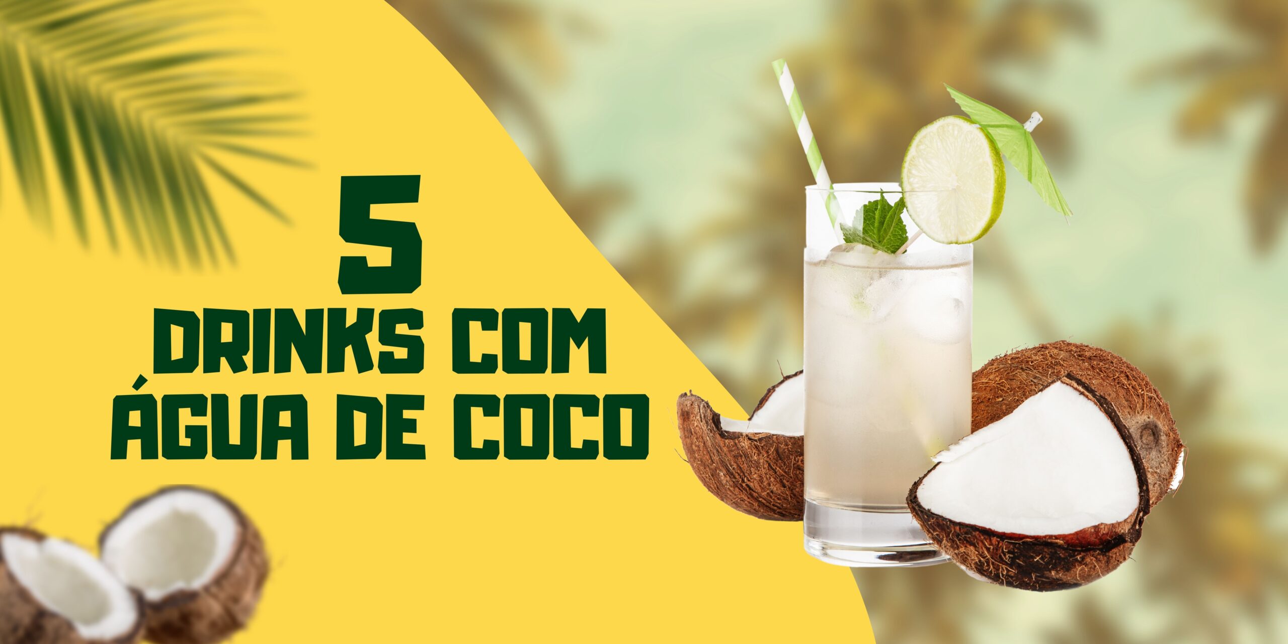 GELO DE COCO - Comprar em Coconut Brasil